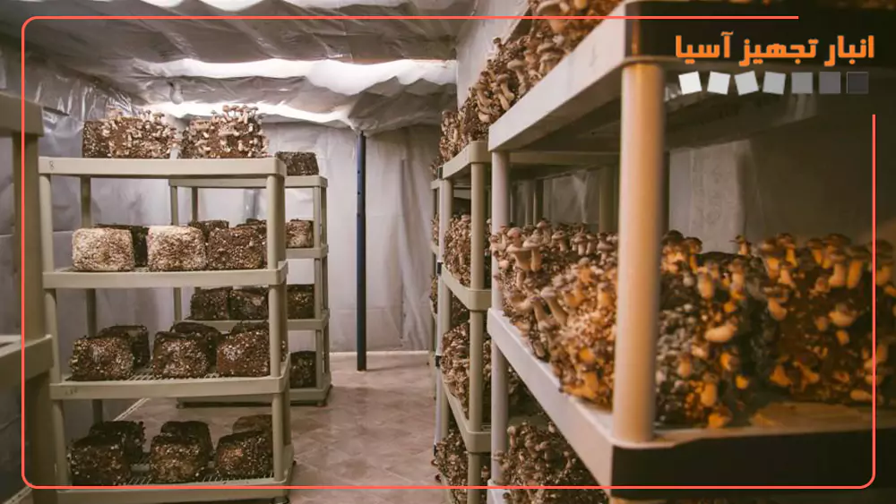 انواع قفسه بندی سالن قارچ